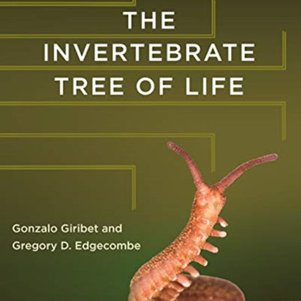 The Invertebrate Tree of Life