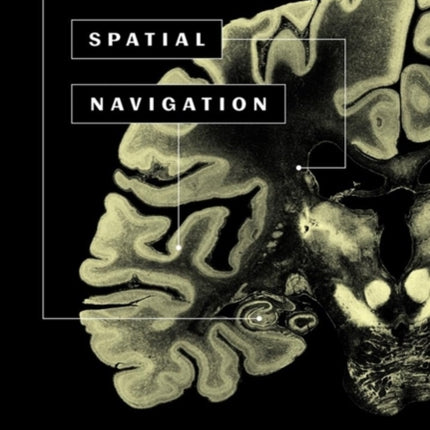 Human Spatial Navigation