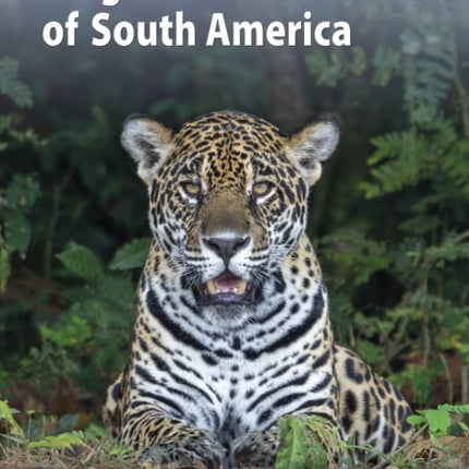 A Field Guide to the Larger Mammals of South America