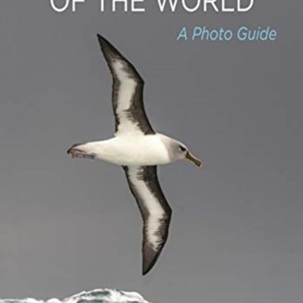 Oceanic Birds of the World: A Photo Guide