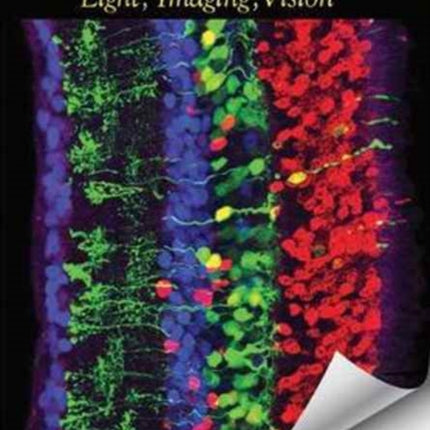 From Photon to Neuron: Light, Imaging, Vision