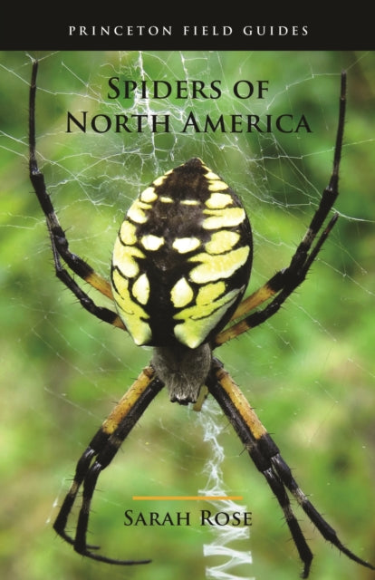 Spiders of North America