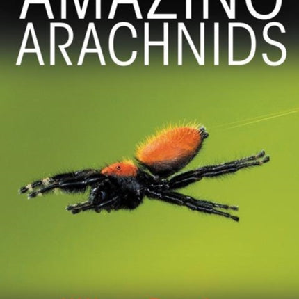 Amazing Arachnids