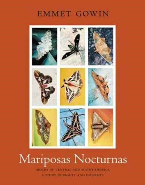 Mariposas Nocturnas: Moths of Central and South America, A Study in Beauty and Diversity