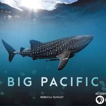 Big Pacific: Passionate, Voracious, Mysterious, Violent