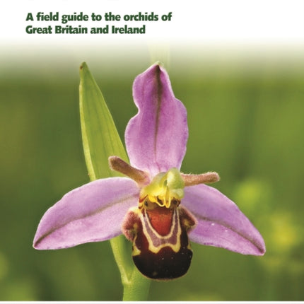 Britain's Orchids: A Field Guide to the Orchids of Great Britain and Ireland