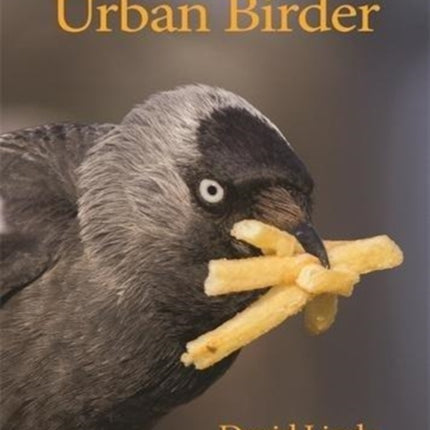 How to Be an Urban Birder