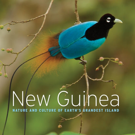 New Guinea: Nature and Culture of Earth's Grandest Island