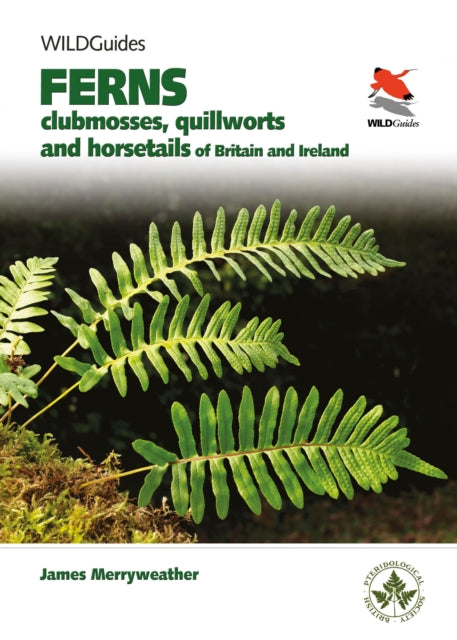 Ferns: Clubmosses, Quillworts and Horsetails of Britain and Ireland