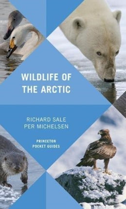 Wildlife of the Arctic