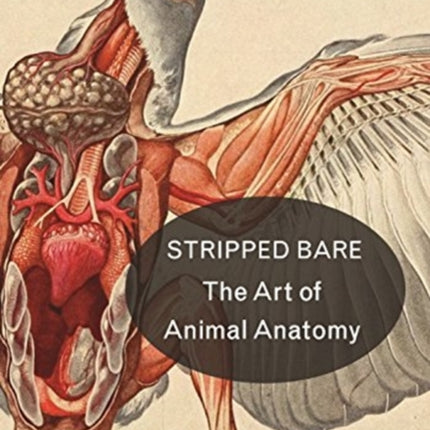 Stripped Bare: The Art of Animal Anatomy