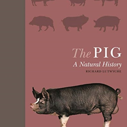 The Pig: A Natural History