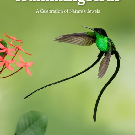 Hummingbirds: A Celebration of Nature's Jewels