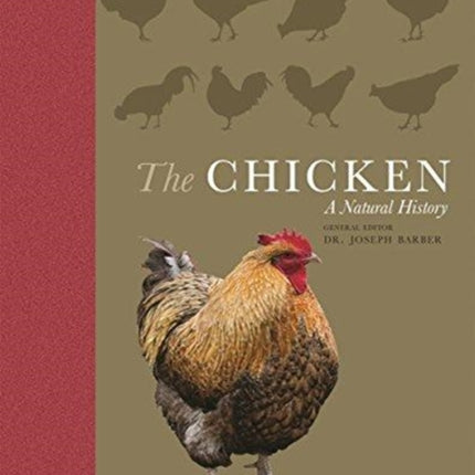 The Chicken: A Natural History