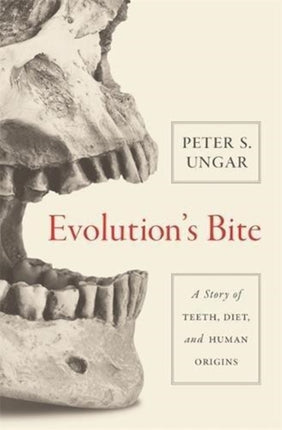 Evolutions Bite