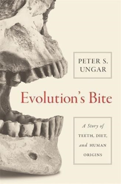 Evolutions Bite