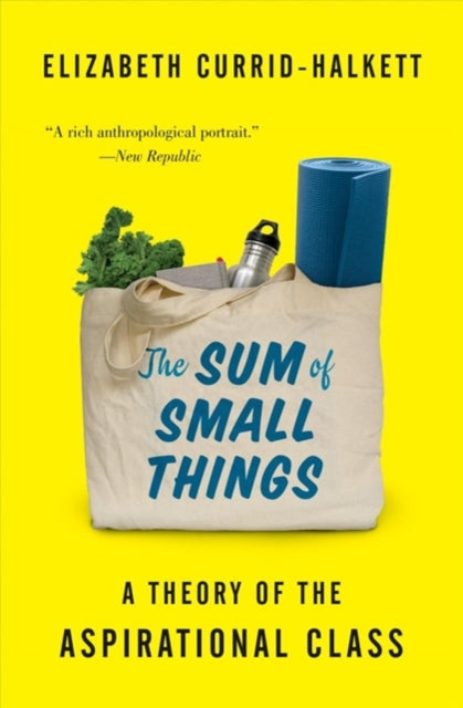 The Sum of Small Things: A Theory of the Aspirational Class