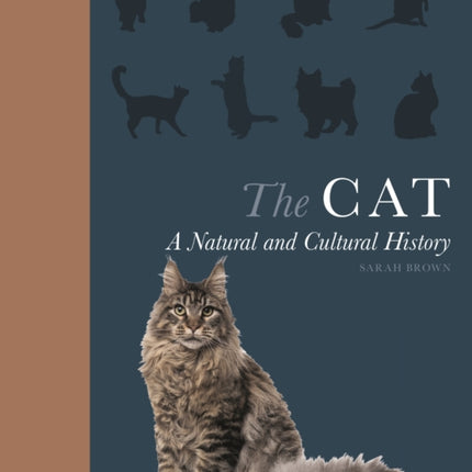 The Cat: A Natural and Cultural History