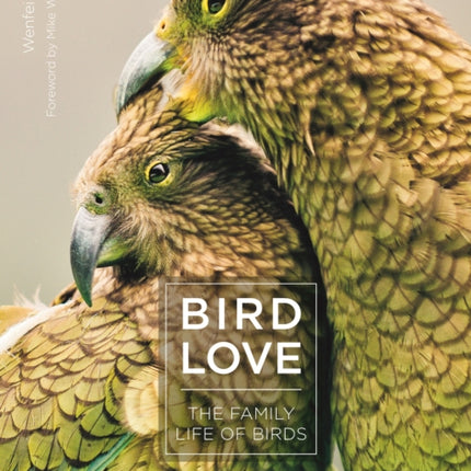 Bird Love: The Family Life of Birds