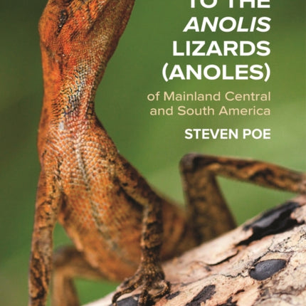 A Guide to the Anolis Lizards Anoles of Mainland Central and South America