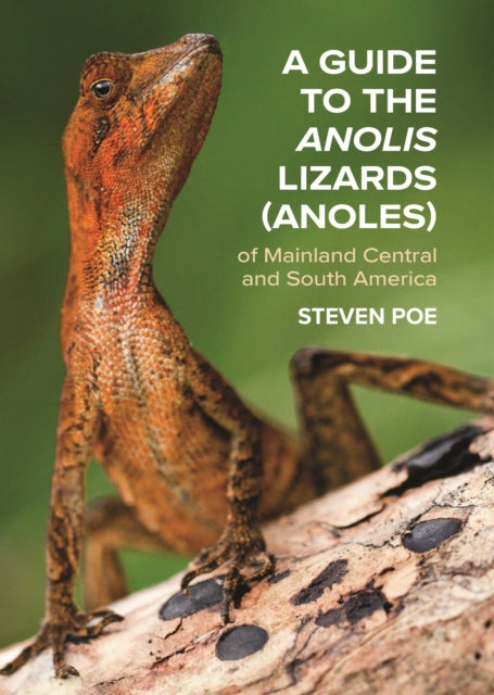 A Guide to the Anolis Lizards Anoles of Mainland Central and South America
