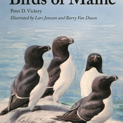 Birds of Maine