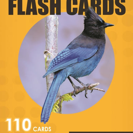 Backyard Birds Flash Cards - Western North America