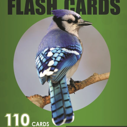 Backyard Birds Flash Cards - Eastern & Central North America