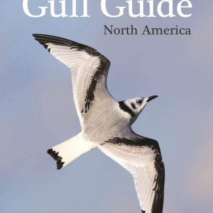 The Gull Guide  North America