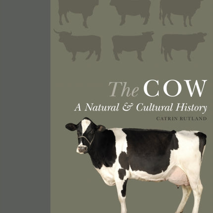 The Cow A Natural and Cultural History