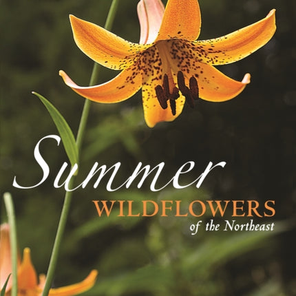 Summer Wildflowers of the Northeast: A Natural History