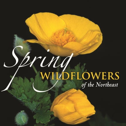 Spring Wildflowers of the Northeast: A Natural History