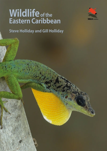 Wildlife of the Eastern Caribbean