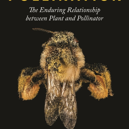 Pollination: The Enduring Relationship between Plant and Pollinator