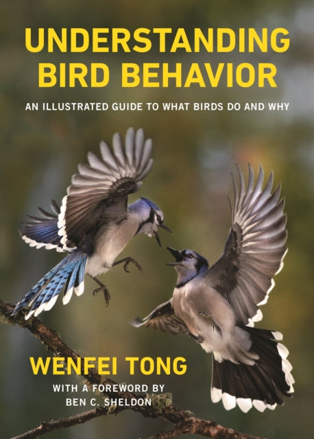 Understanding Bird Behavior: An Illustrated Guide to What Birds Do and Why