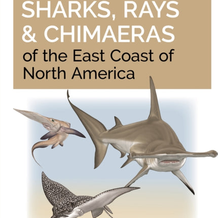 Field Guide to Sharks Rays and Chimaeras of the East Coast of North America