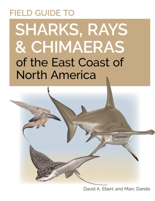 Field Guide to Sharks Rays and Chimaeras of the East Coast of North America