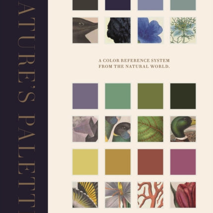 Natures Palette