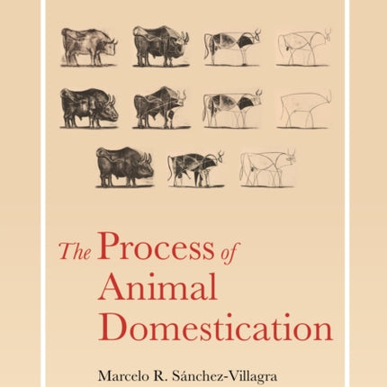 The Process of Animal Domestication