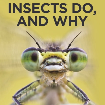 What Insects Do and Why