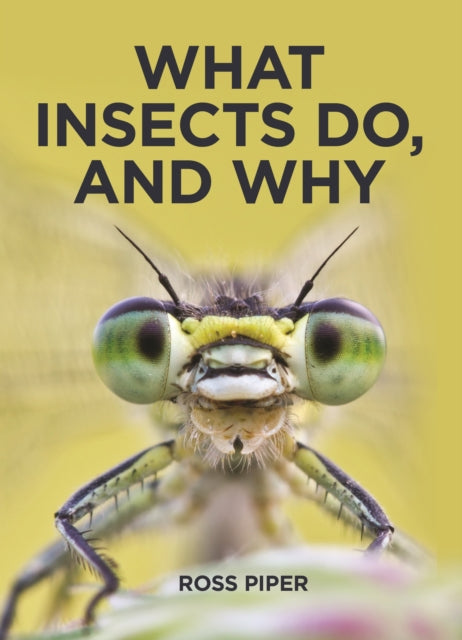 What Insects Do and Why