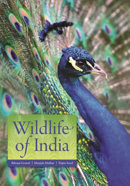 Wildlife of India