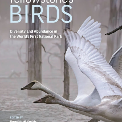 Yellowstone’s Birds: Diversity and Abundance in the World’s First National Park