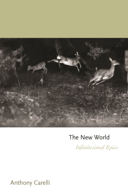 The New World: Infinitesimal Epics