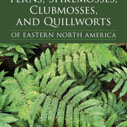 Ferns Spikemosses Clubmosses and Quillworts of Eastern North America