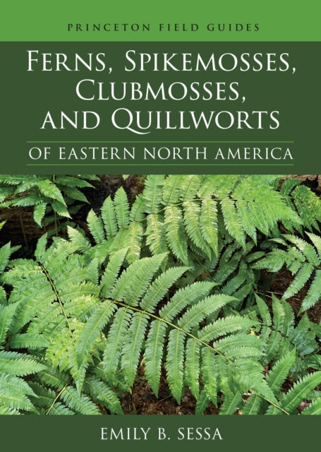 Ferns Spikemosses Clubmosses and Quillworts of Eastern North America