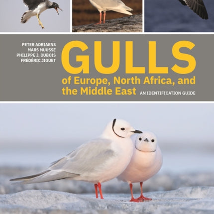 Gulls of Europe, North Africa, and the Middle East: An Identification Guide