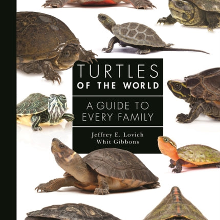 Turtles of the World: A Guide to Every Family