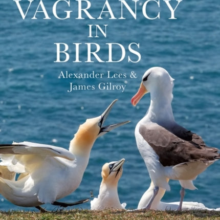 Vagrancy in Birds