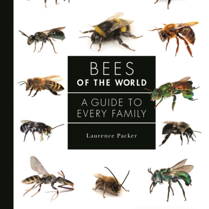 Bees of the World: A Guide to Every Family